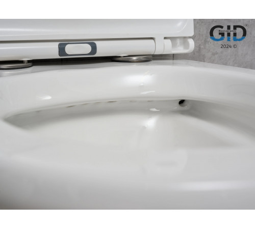 Подвесной унитаз GID Tr2101 62232Y белый 49x36x36