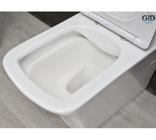 Напольный унитаз Gid Tn2184 62251Y белый 62.5x35x81