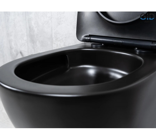 Подвесной унитаз GID Tornado Tr2122TF-Bm 62261Y черный матовый 49x36x36