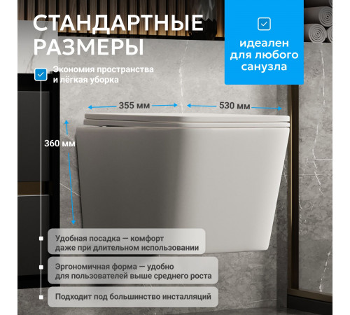 Подвесной унитаз ABBER Rechteck AC1201MW белый матовый, безободковый