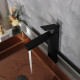 Смеситель GID для раковины (высокий) Anchel SS979-BM-D SS979BMD черный матовый