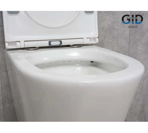 Подвесной унитаз GID Tr2130 62235Y белый 50x36x35